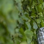 Tompos Márton: Lájkokra váltotta Fekete-Győr András azt a dilemmát, hogy induljanak-e a választáson